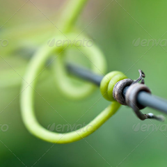 在线网站攻击
